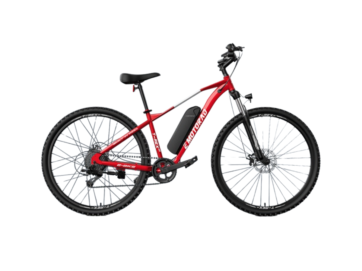 EMotorad T-Rex Air 29