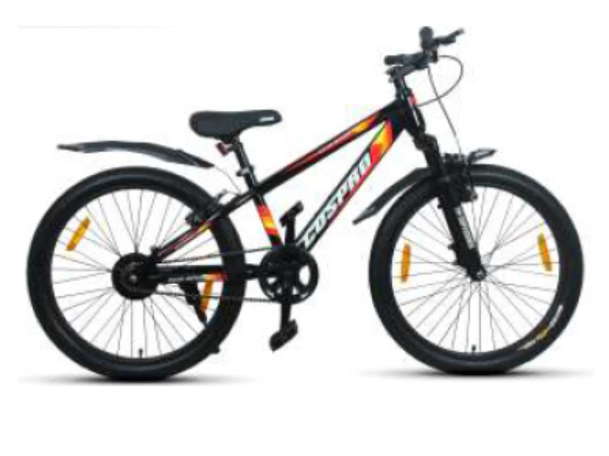 Cospro 24 Ecosport Fs V-Brake Bicycle