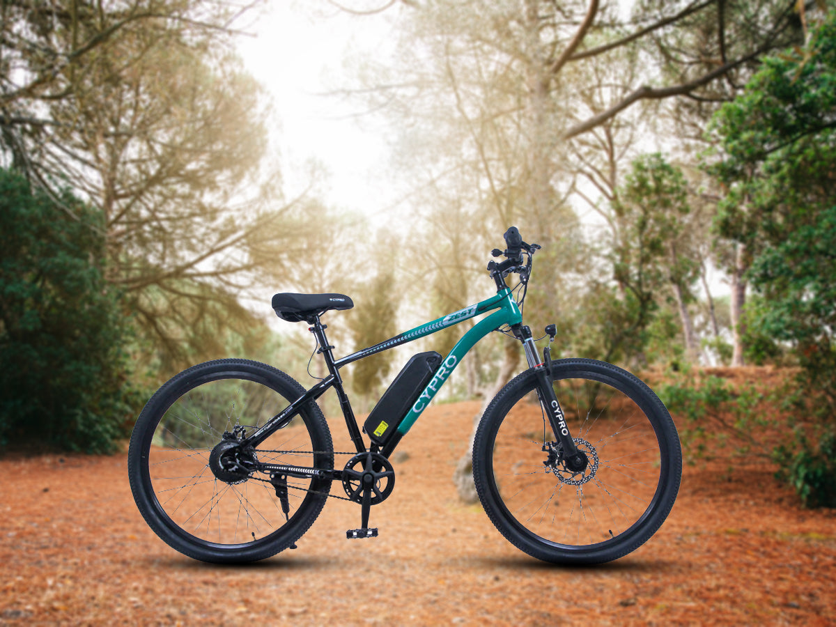 Cypro 27.5 Zest E-Bicycle