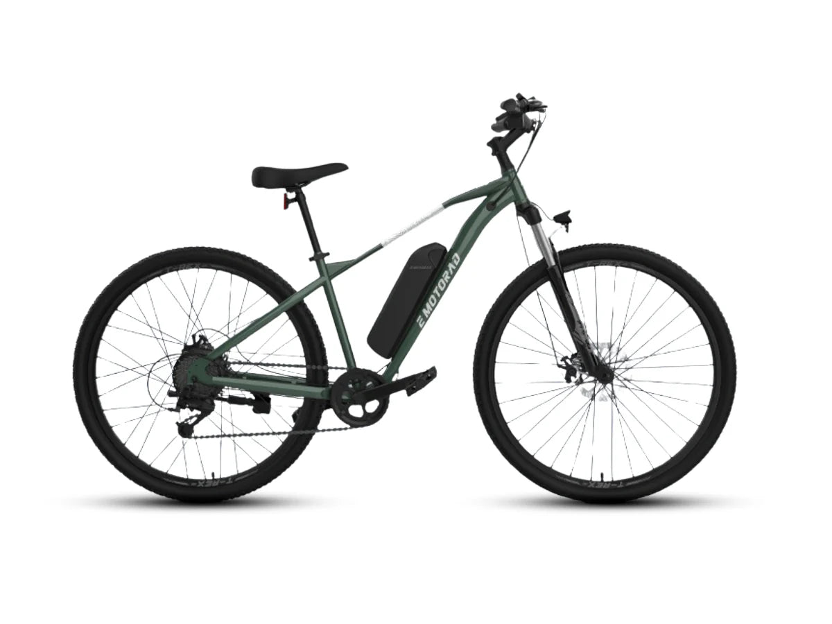 EMotorad 29 T-Rex Air