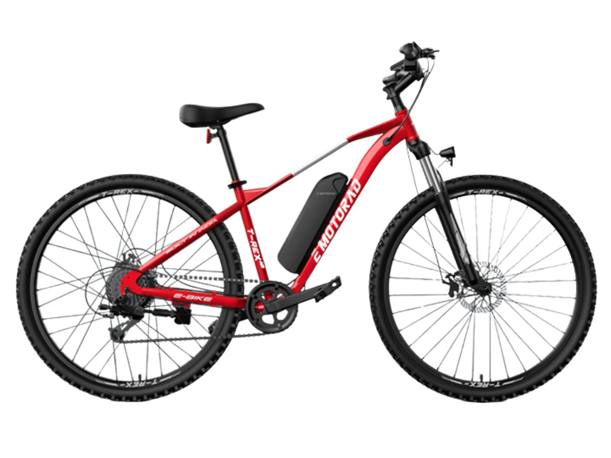 EMotorad 29 T-Rex Air
