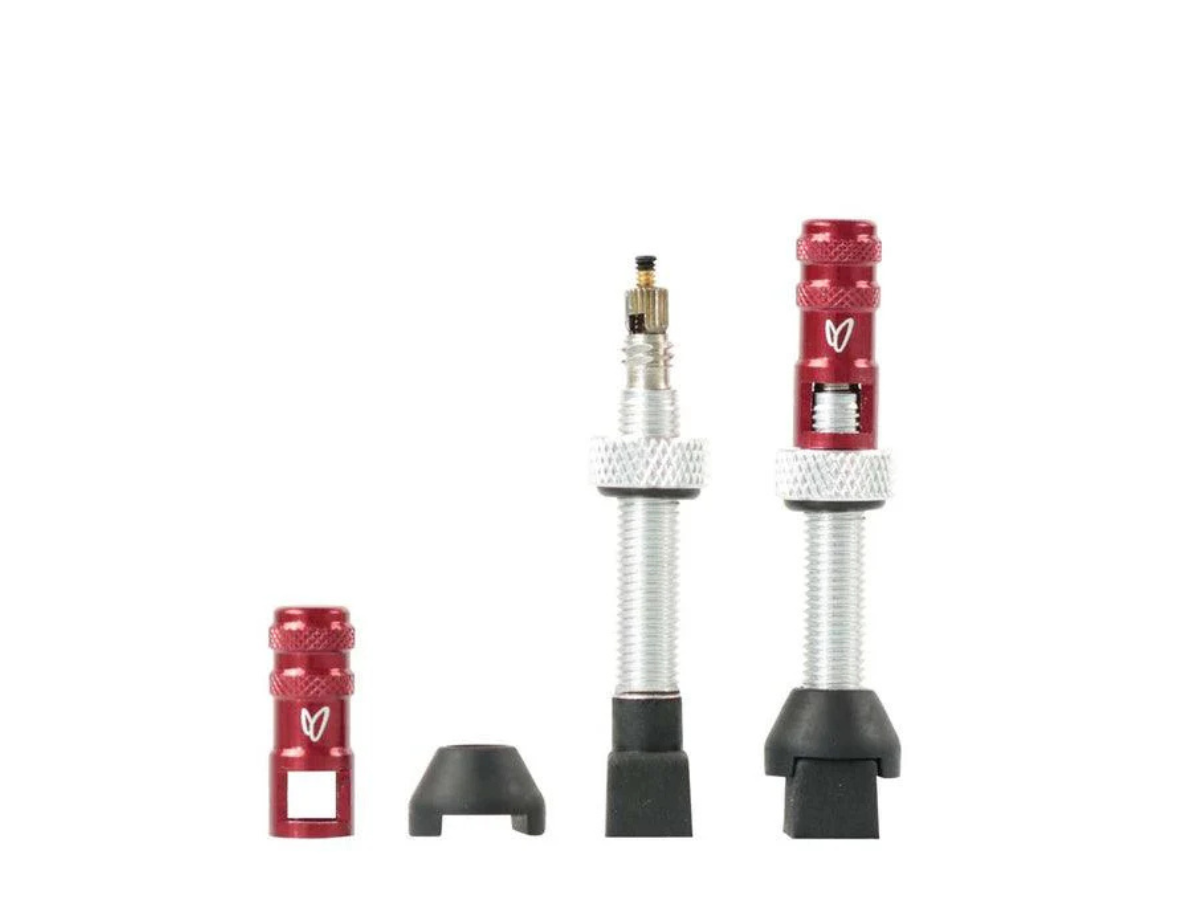 Effetto Mariposa Tubeless Valves silver