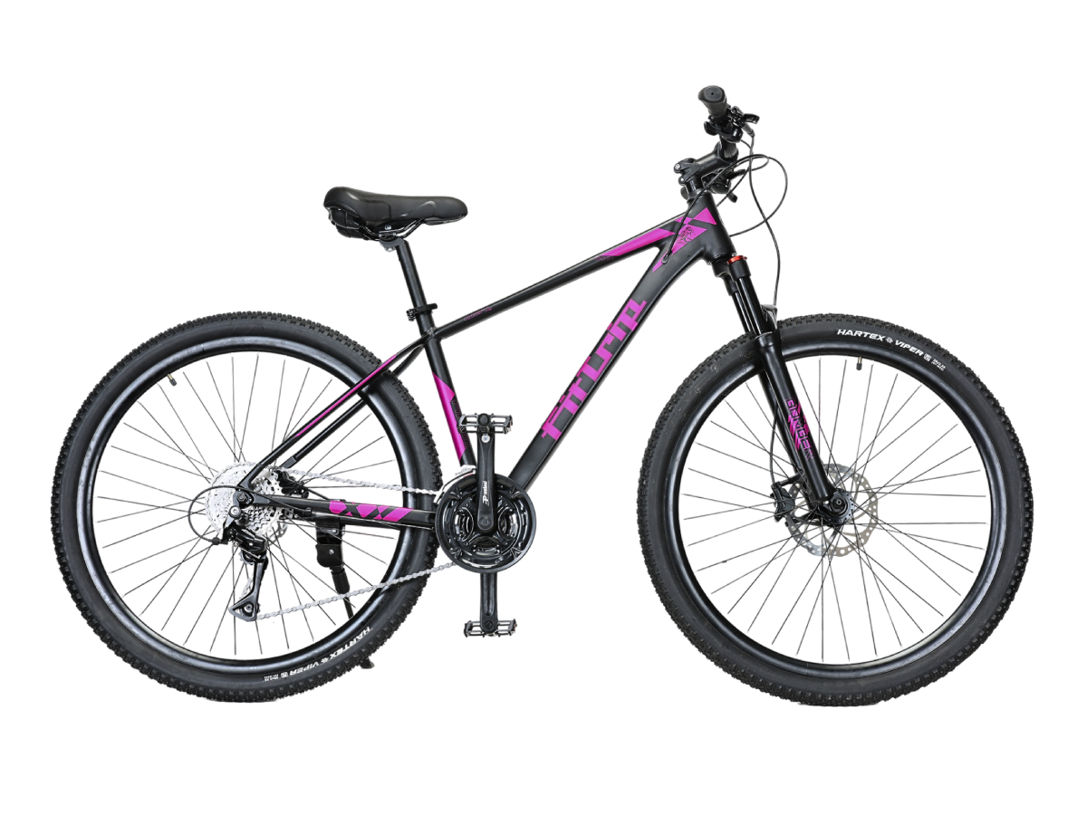FitTrip Vyper RS 29 24s