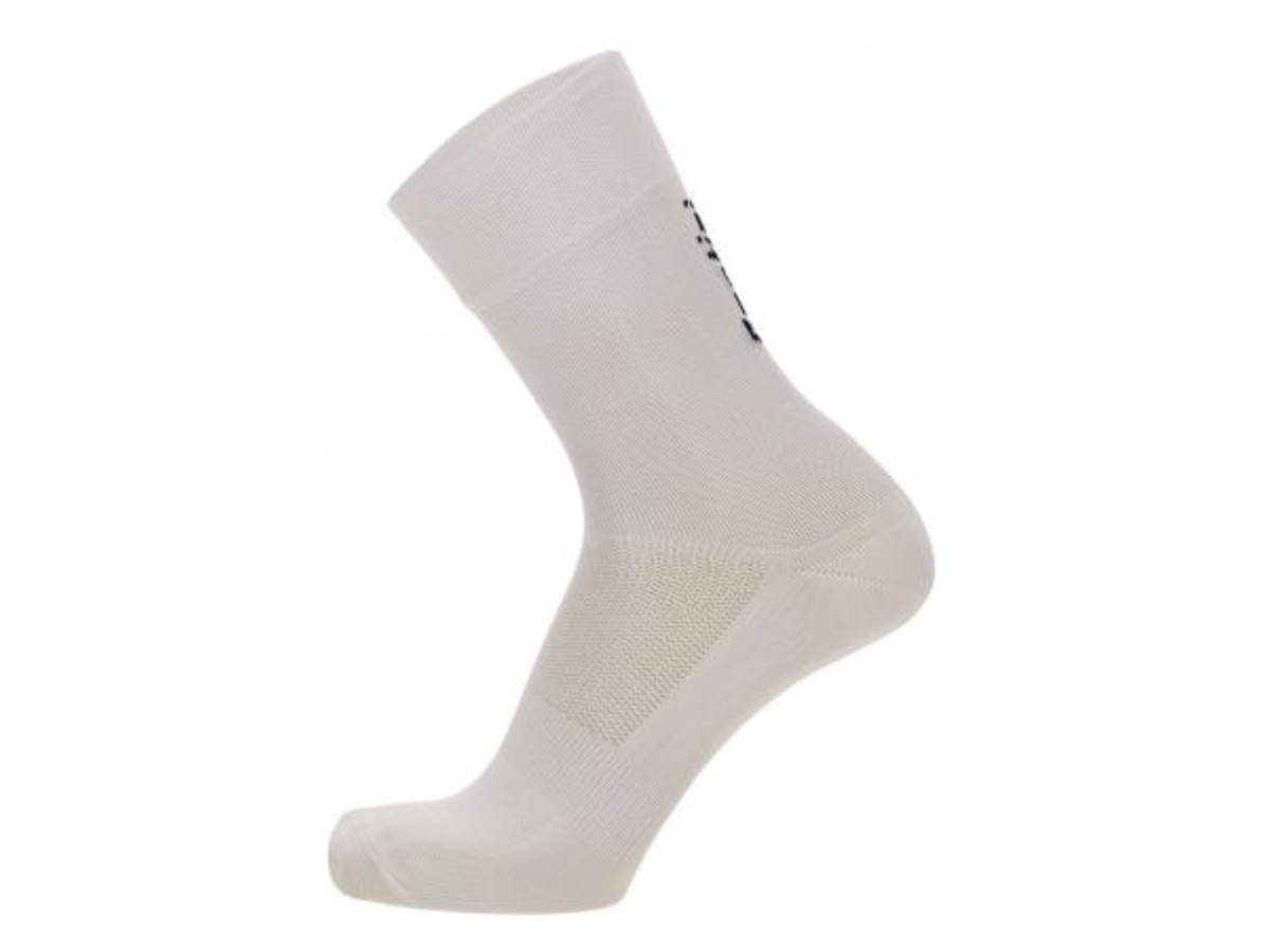 Santini Lidl Trek Fanline Socks