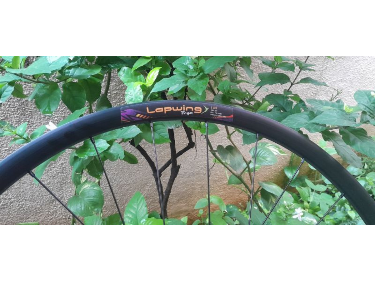 Lapwing L724 Disc Rims, R25 Centerlock Thru-Axle 12 X100, 12 X 142Mm Wheelset