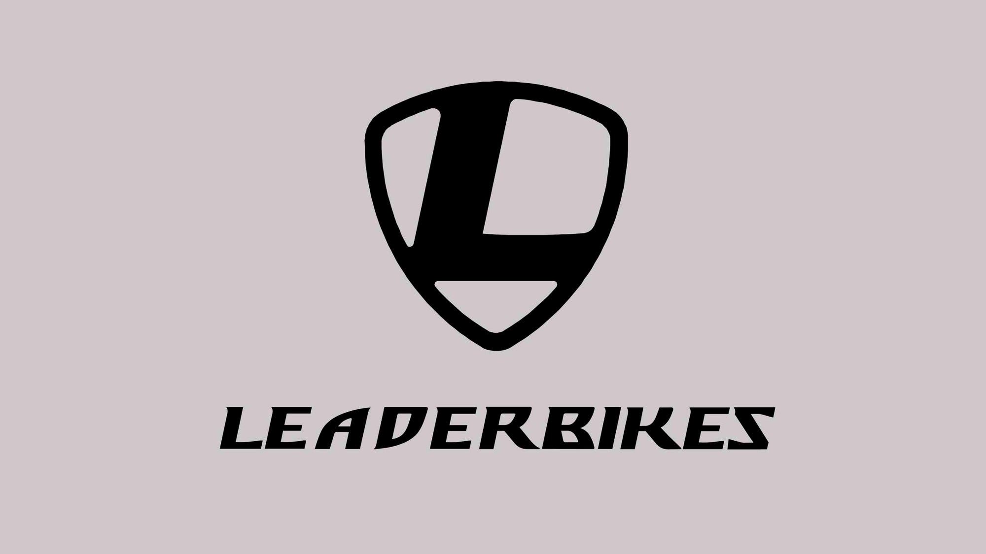 About Leader