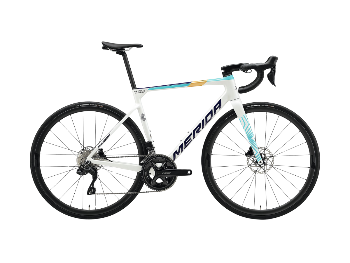 Merida scultura 6000