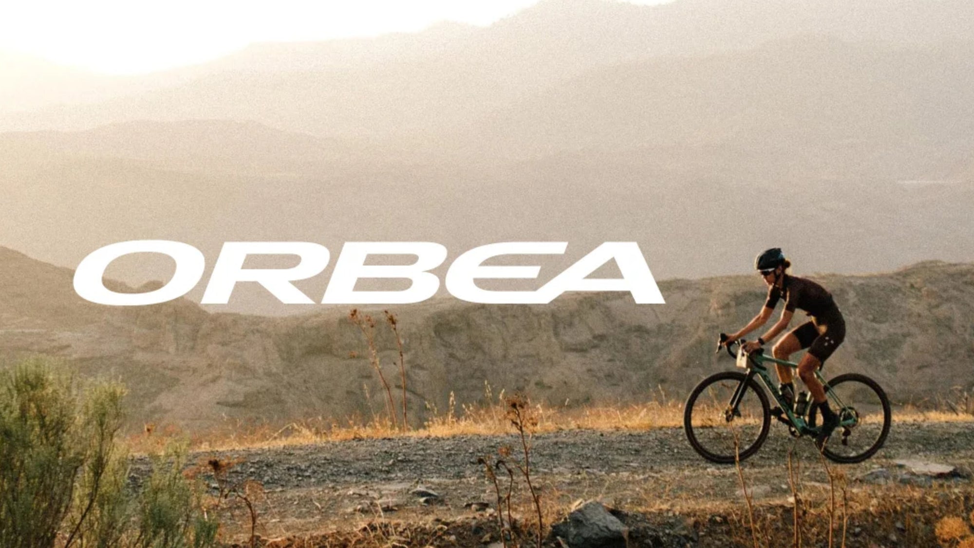 About Orbea