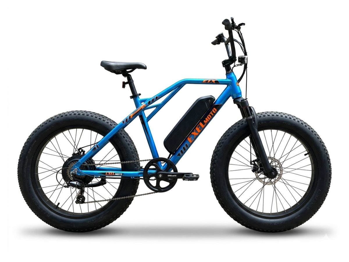 Exelmoto E1X