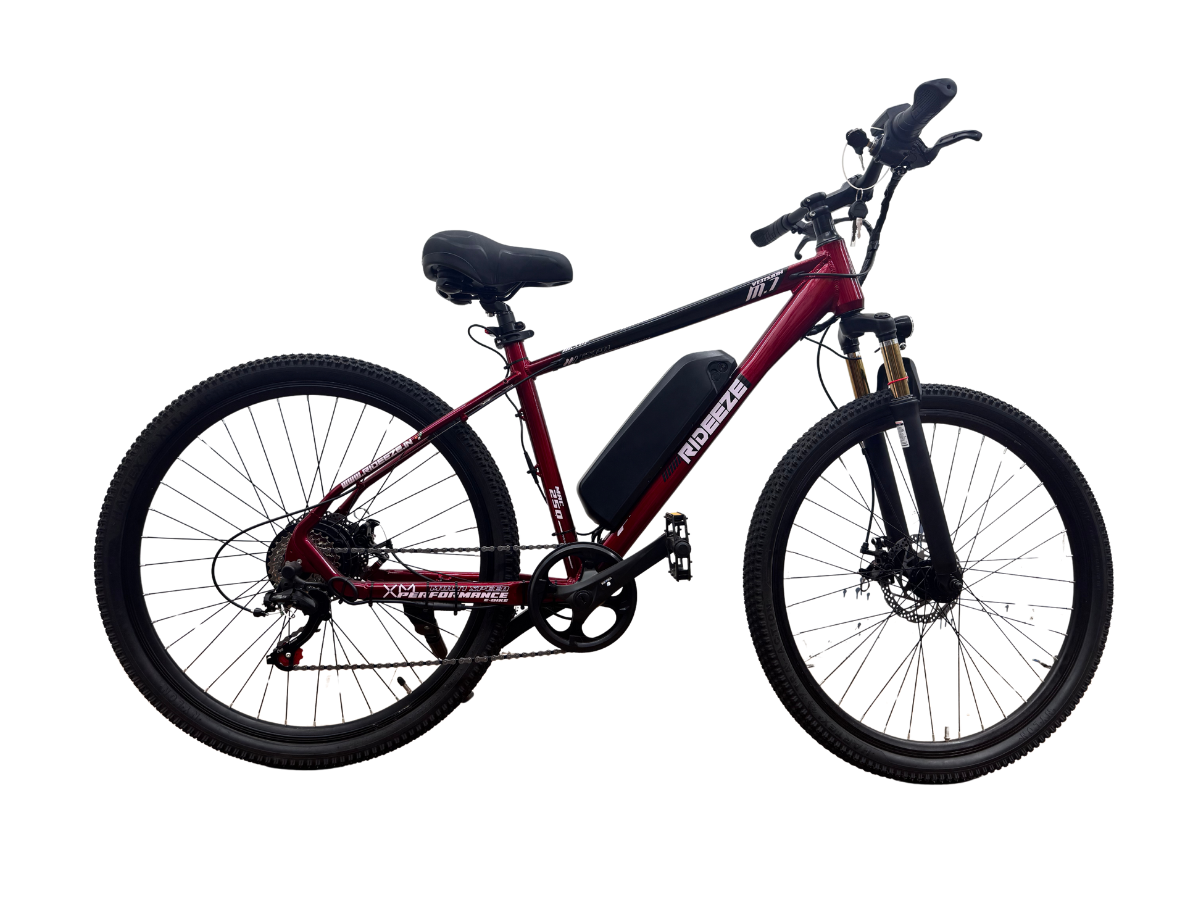 Pedaleze Rideeze E-Bicycle