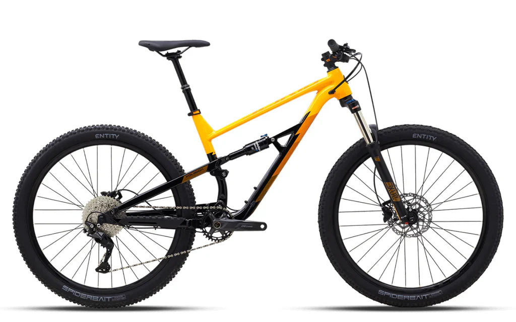 Polygon Siskiu D6  29r