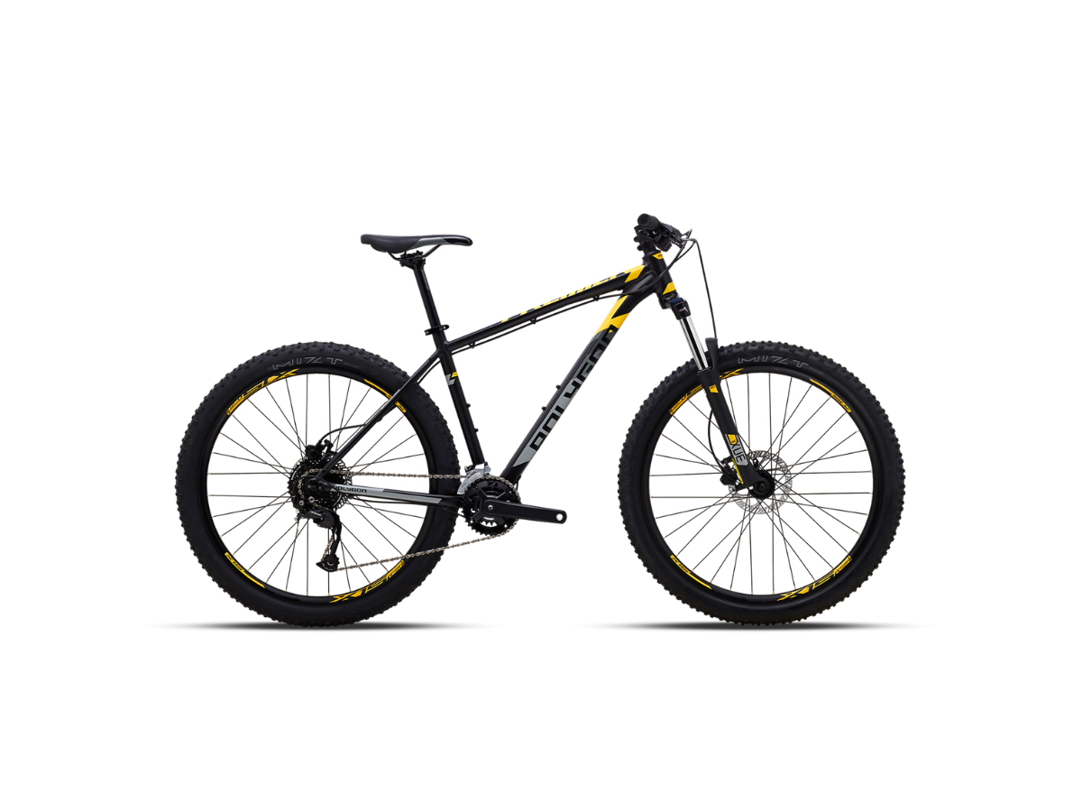 Polygon  Premier 5 29 2025