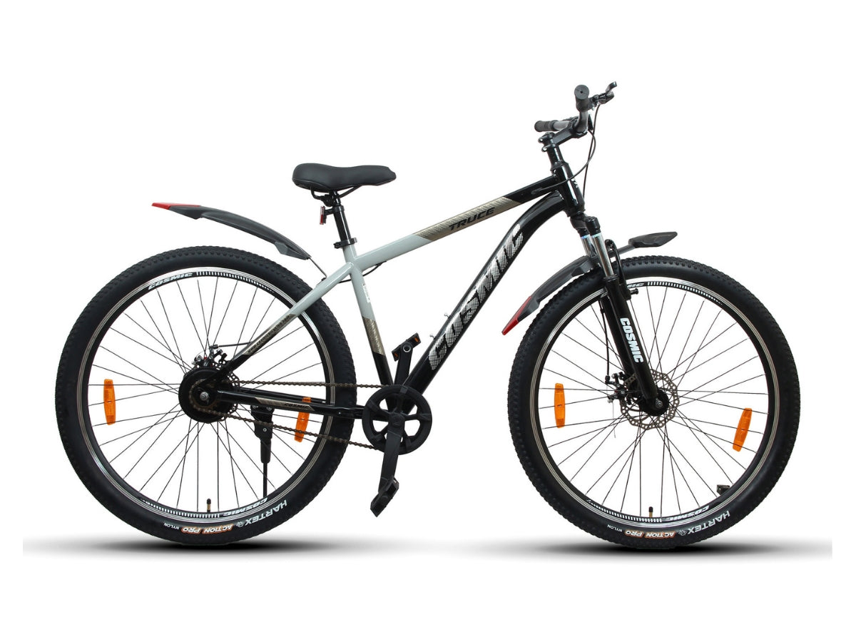 Cosmic 29 Truce Sports FS D/Disc Bicycle