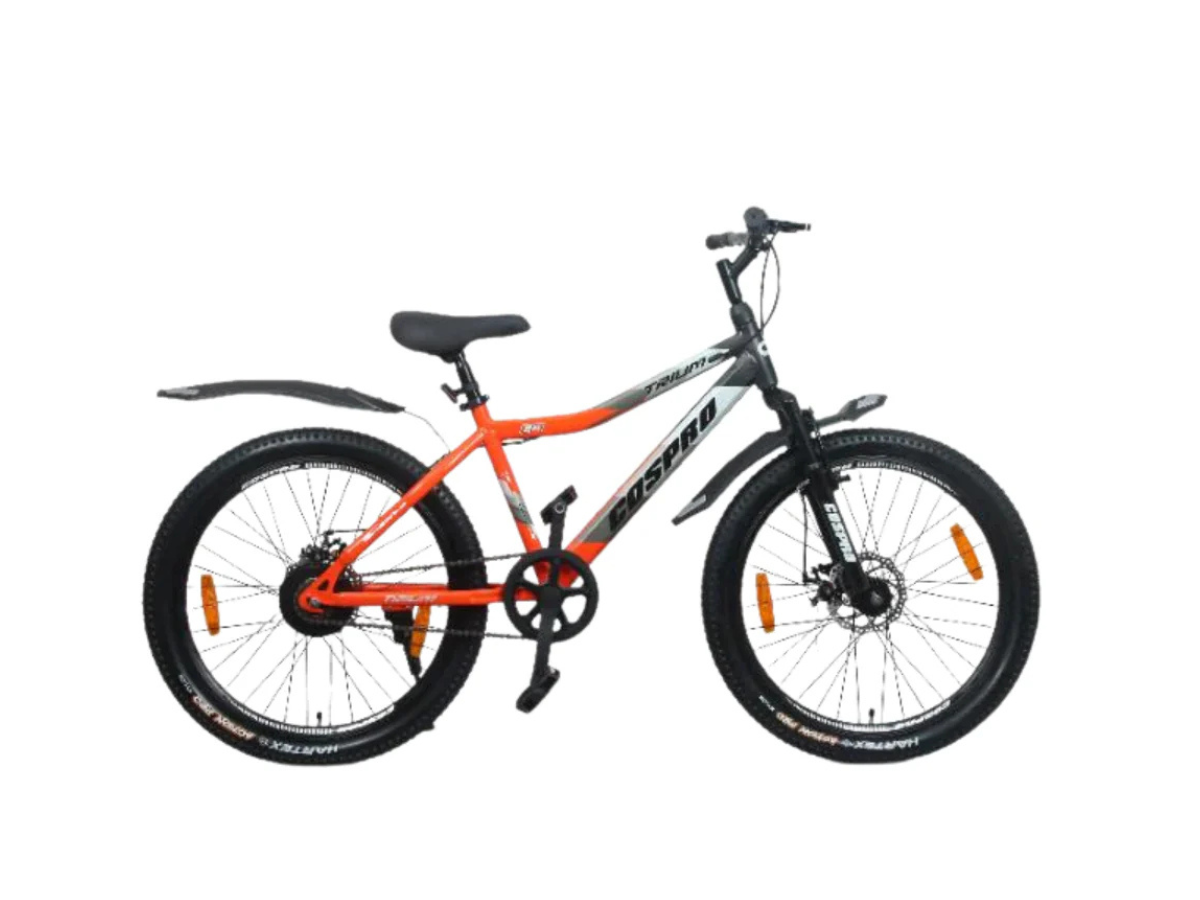 Cospro 24 ecosport fs v-brk bicycle
