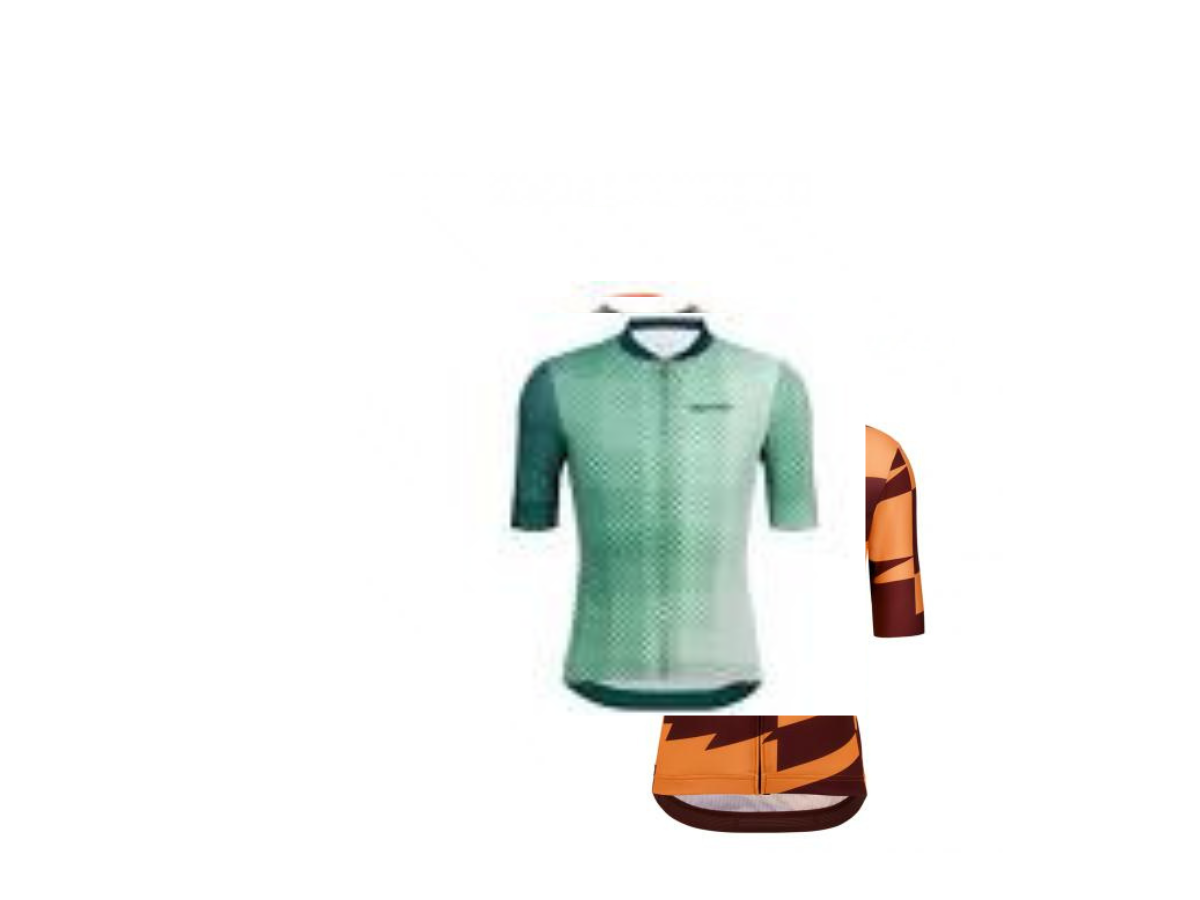 Santini Paws Jersey
