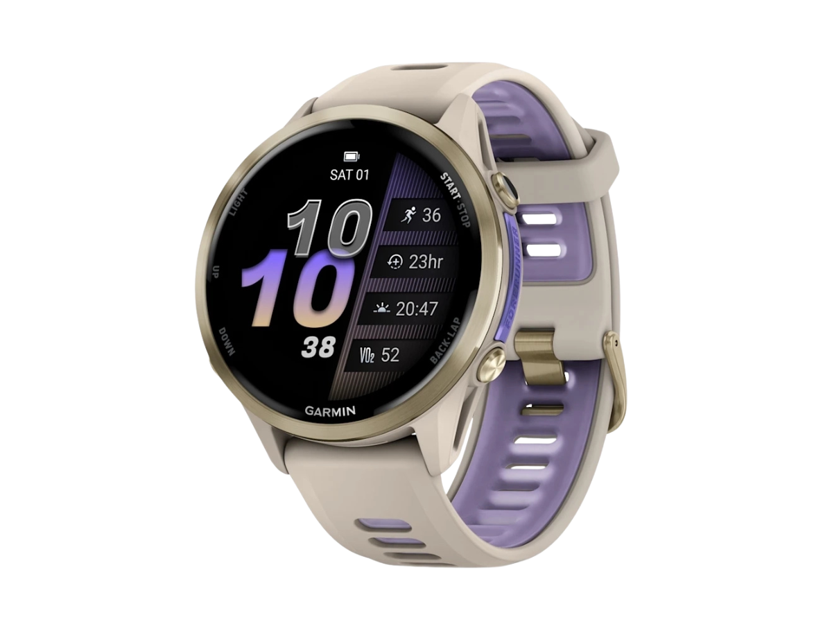 Garmin Forerunner 970 French Gray/Indigo