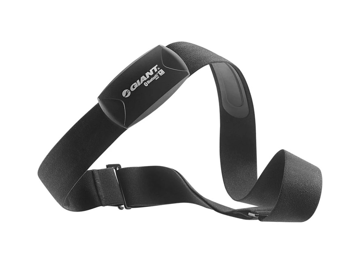 Giant ANT+& BLE 2 IN 1 Heart Rate Belt