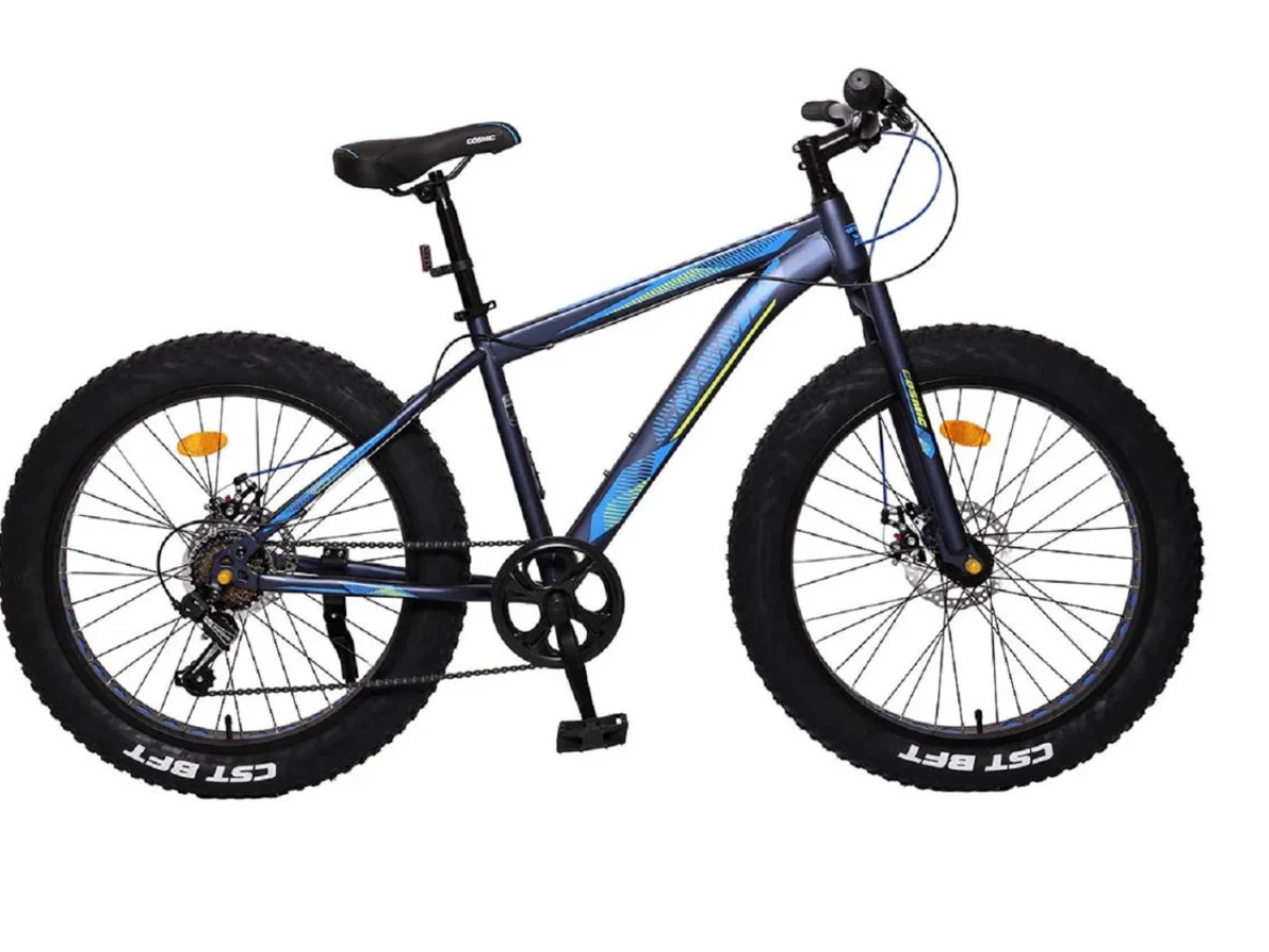 Cosmic 24 Fatso 7 Speed Disc Bicycle