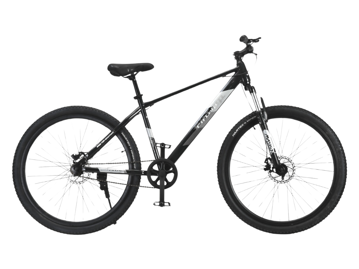 FitTrip Dominator 29 Single Speed