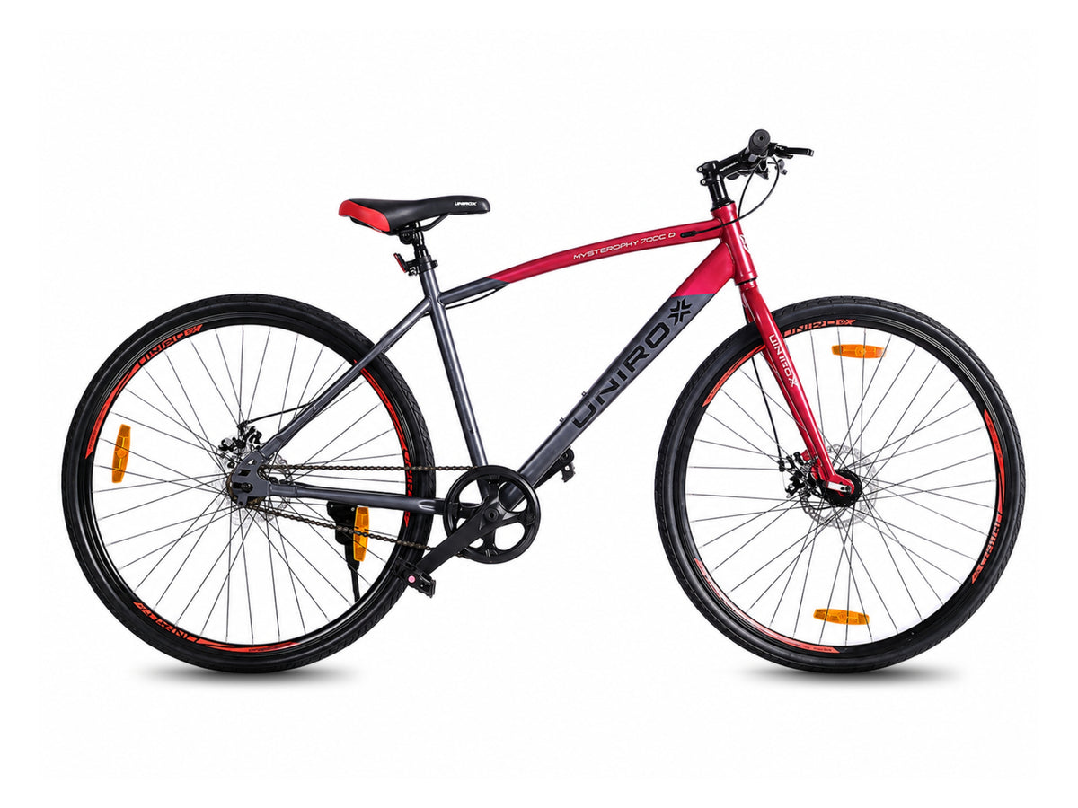 Unirox Amsterdam DB 700C