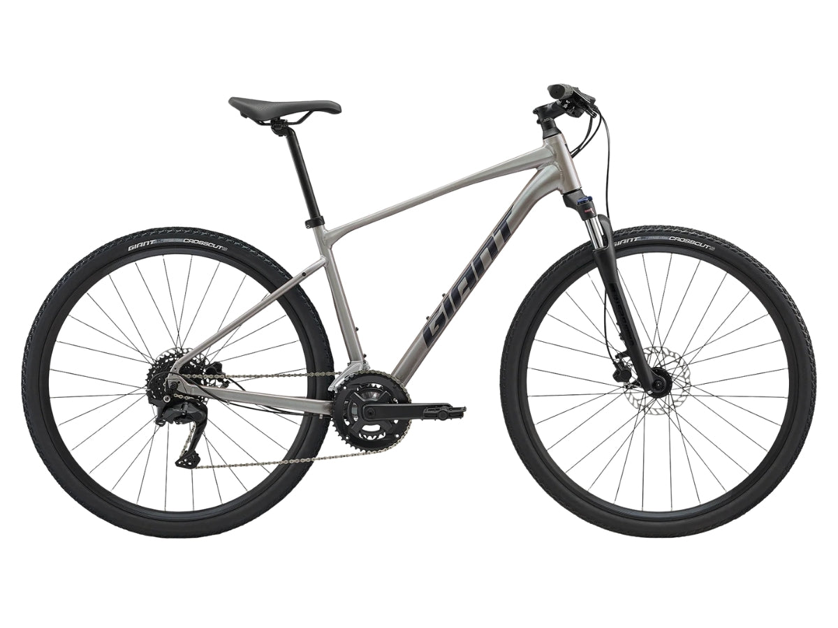 Giant Roam 3