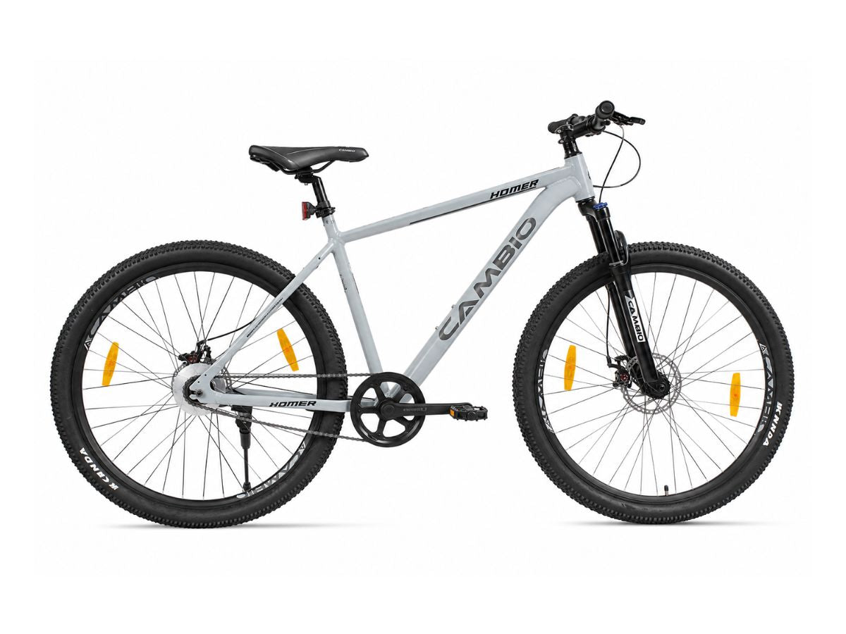 Cambio 29 Homer SS FS D/Disc Bicycle