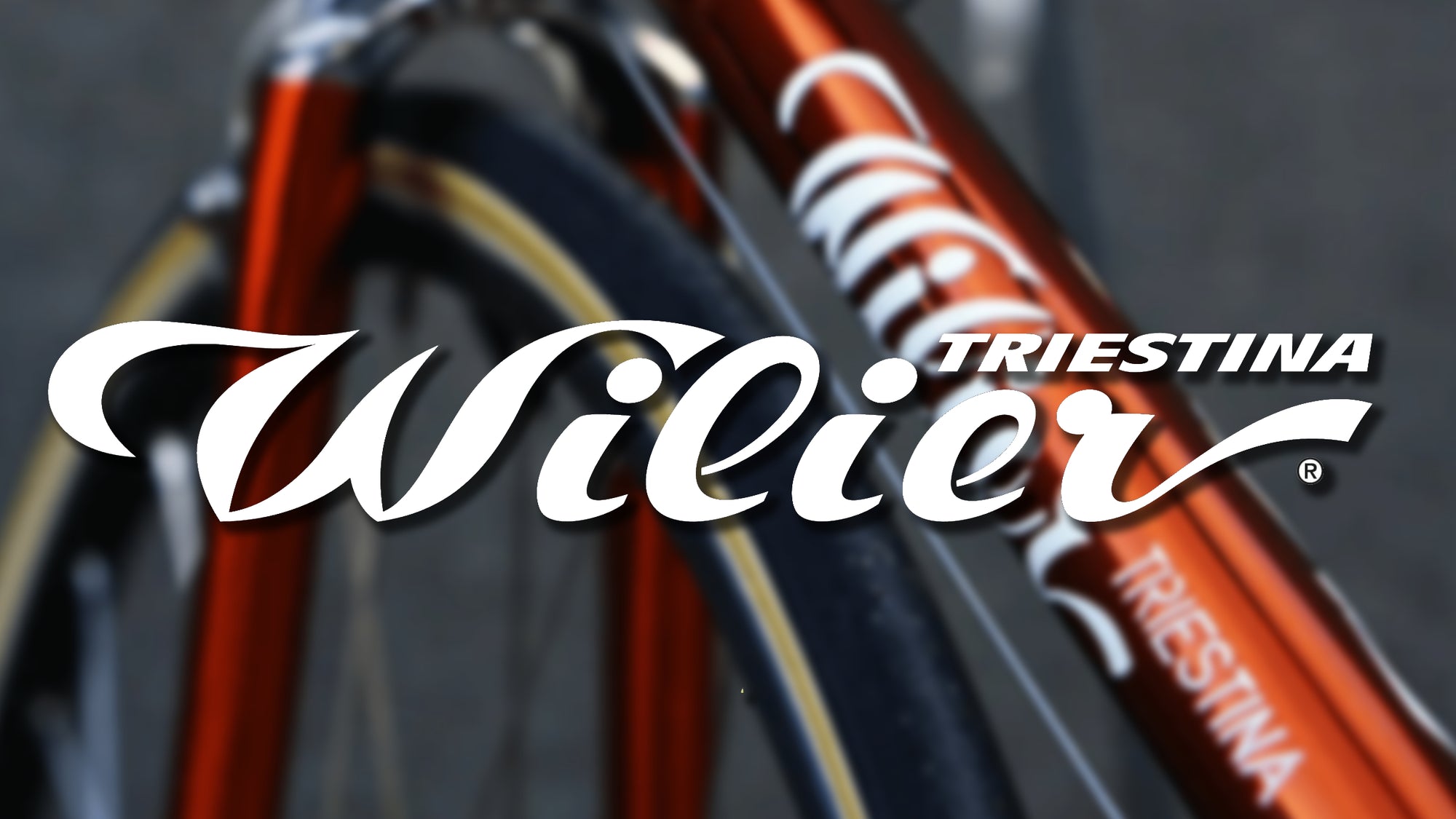 About Wilier
