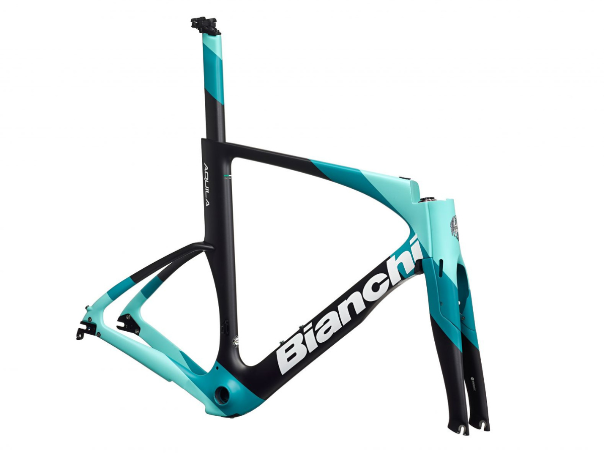 Bianchi Aquila Frame Kit