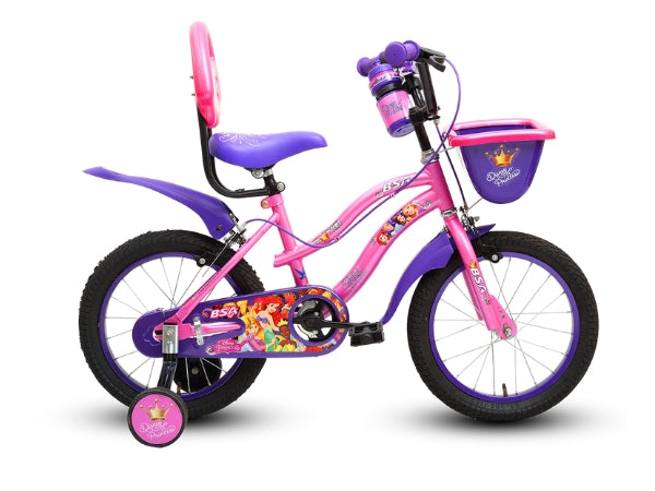 BSA Disney Princess 14