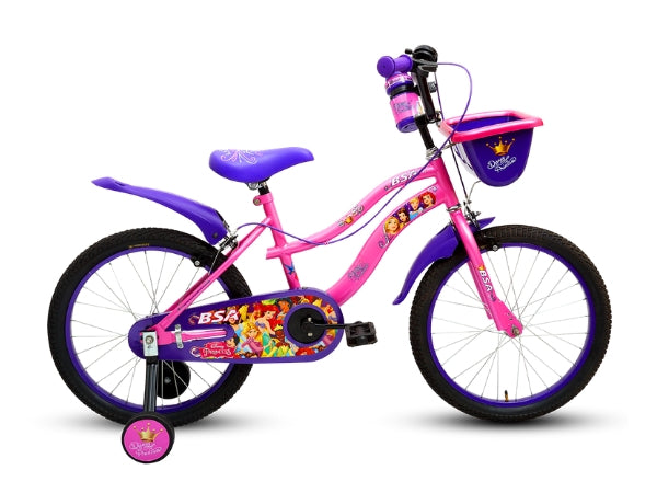 BSA Disney Princess 20