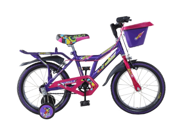 BSA Toonz 16