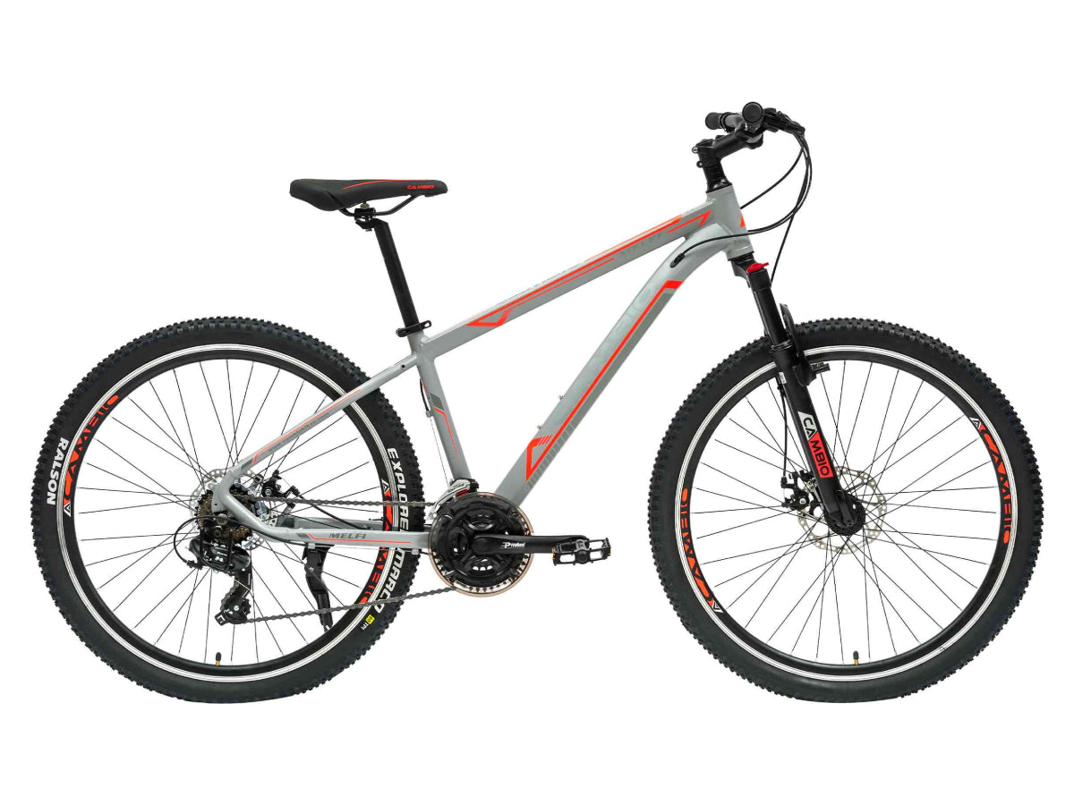 Cambio Melfi 29