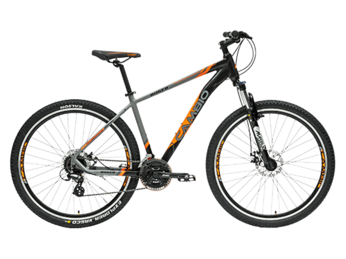 Cambio Roger 27.5