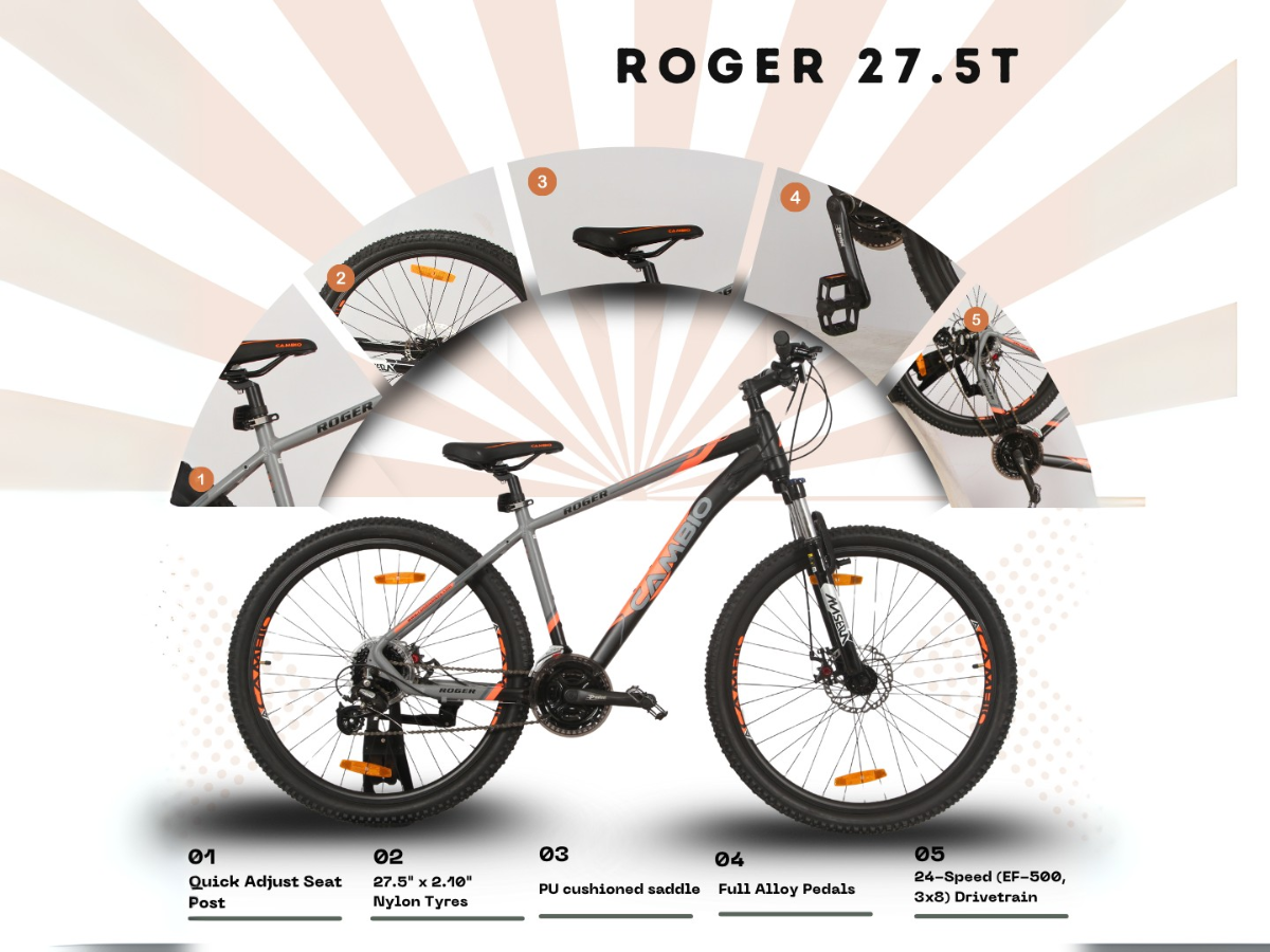 Cambio Roger 27.5