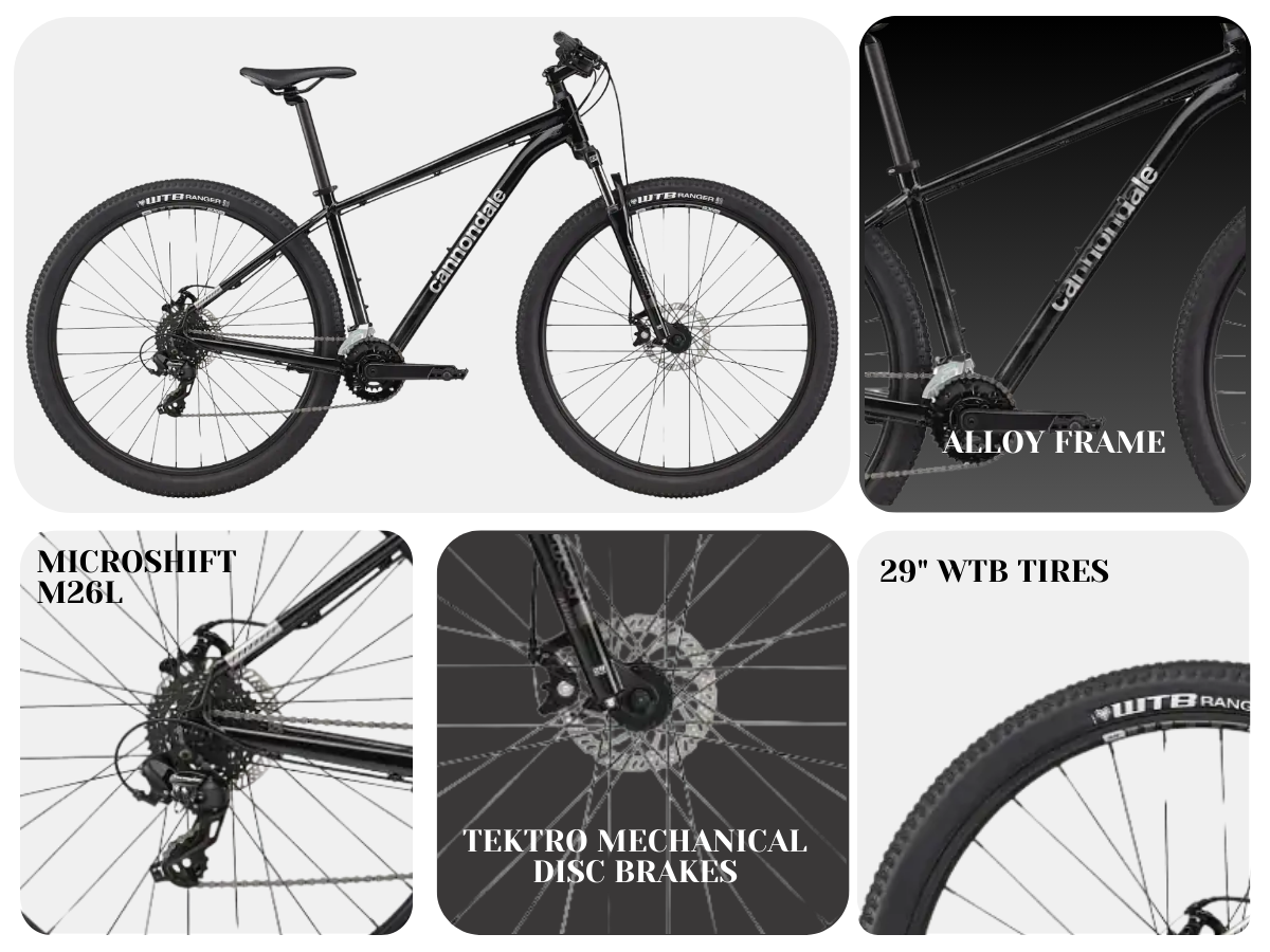 Cannondale Bicycle 29 (Cannondale Trail 8 D, 14S), Gry/Blk, LG