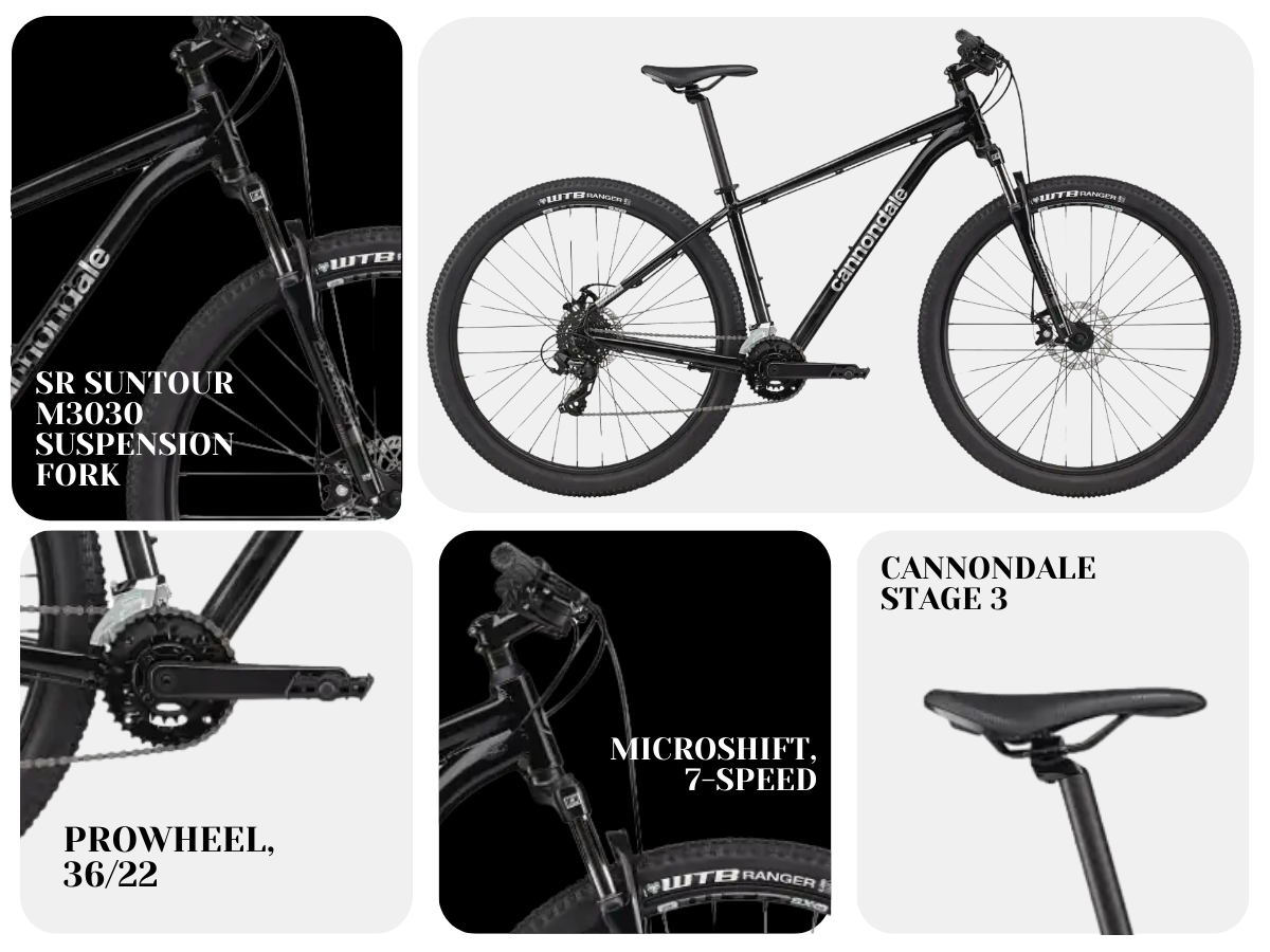 Cannondale Bicycle 29 (Cannondale Trail 8 D, 14S), Gry/Blk, LG