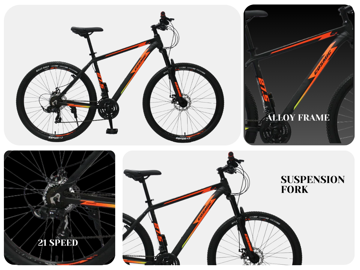 Cosmic 27.5 TERRA Alloy Single Speed Front Suspension Dual Disc Bicycle
