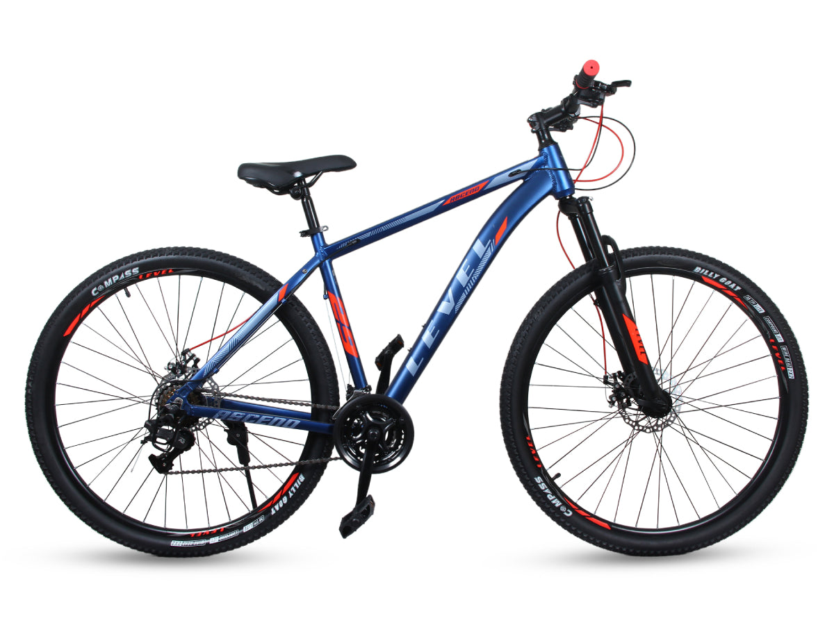 Cosmic Level Ascend 29