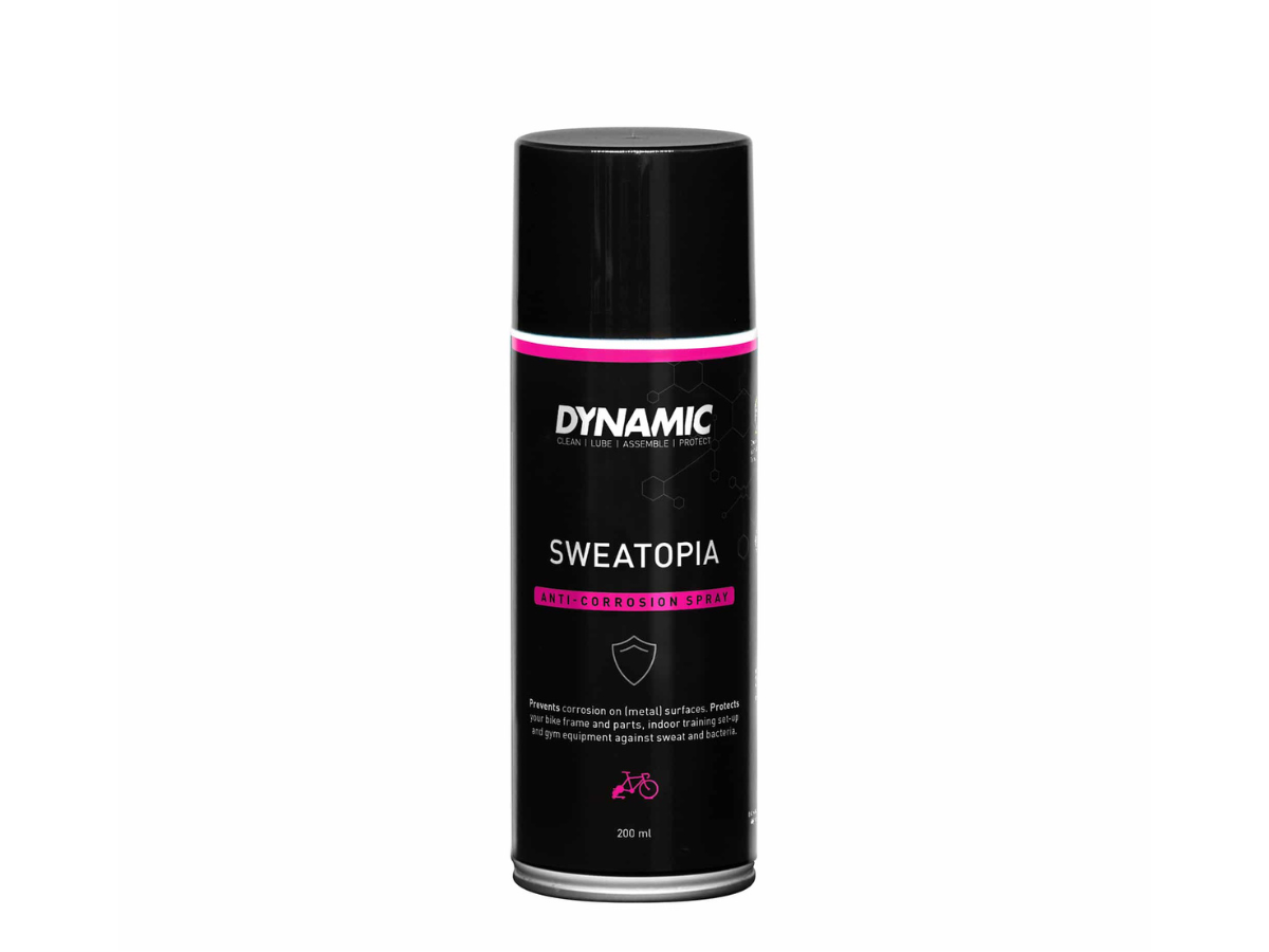 Dynamic Sweatopia Protection Spray - 250ml