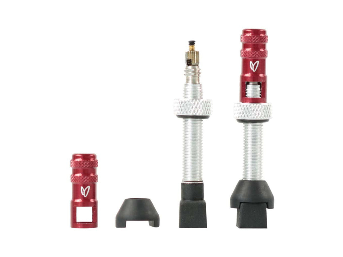 “Effetto Mariposa tubeless valve 40mm in silver – lightweight bike valve set, pack of 2”







