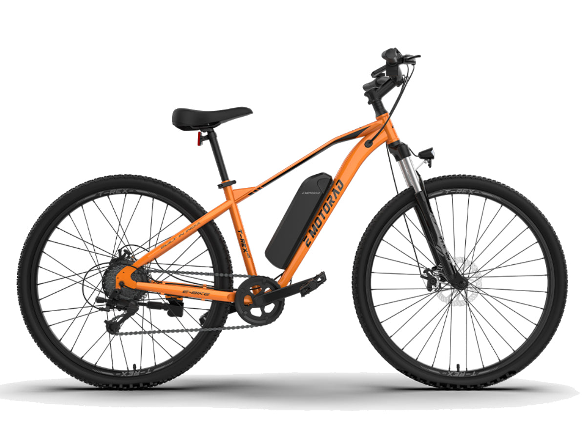 EMotorad T-Rex Air 29