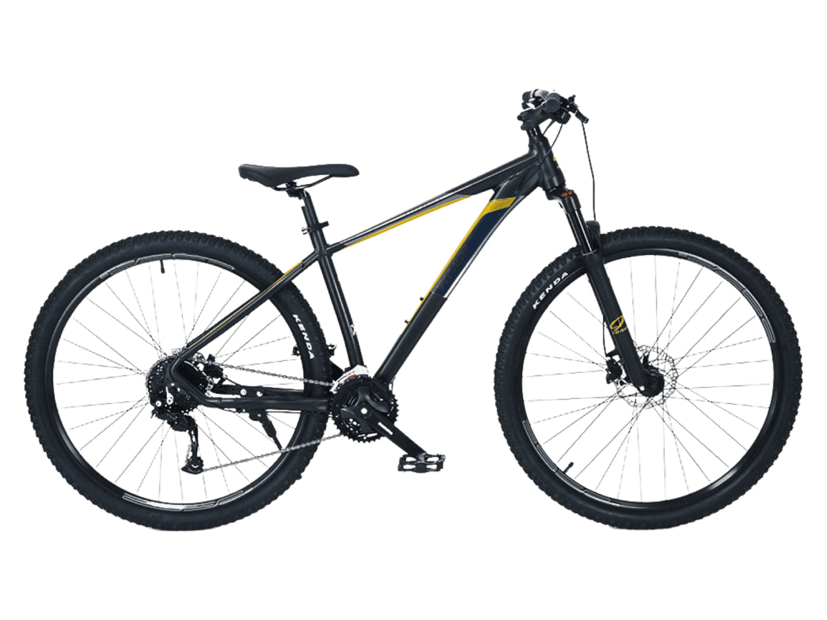 FitTrip Niner 29 27s