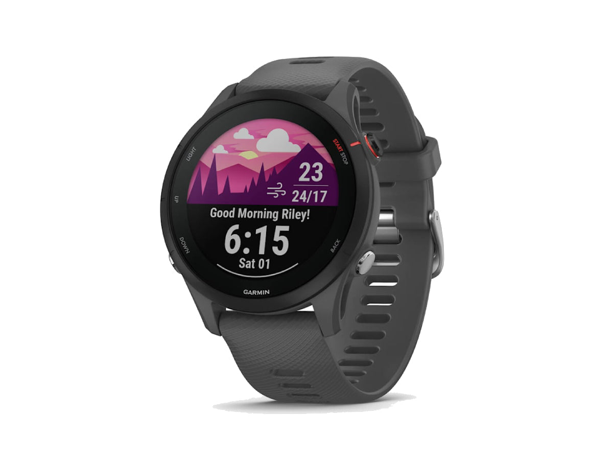 Garmin Forerunner 255 - Basic Slate Grey