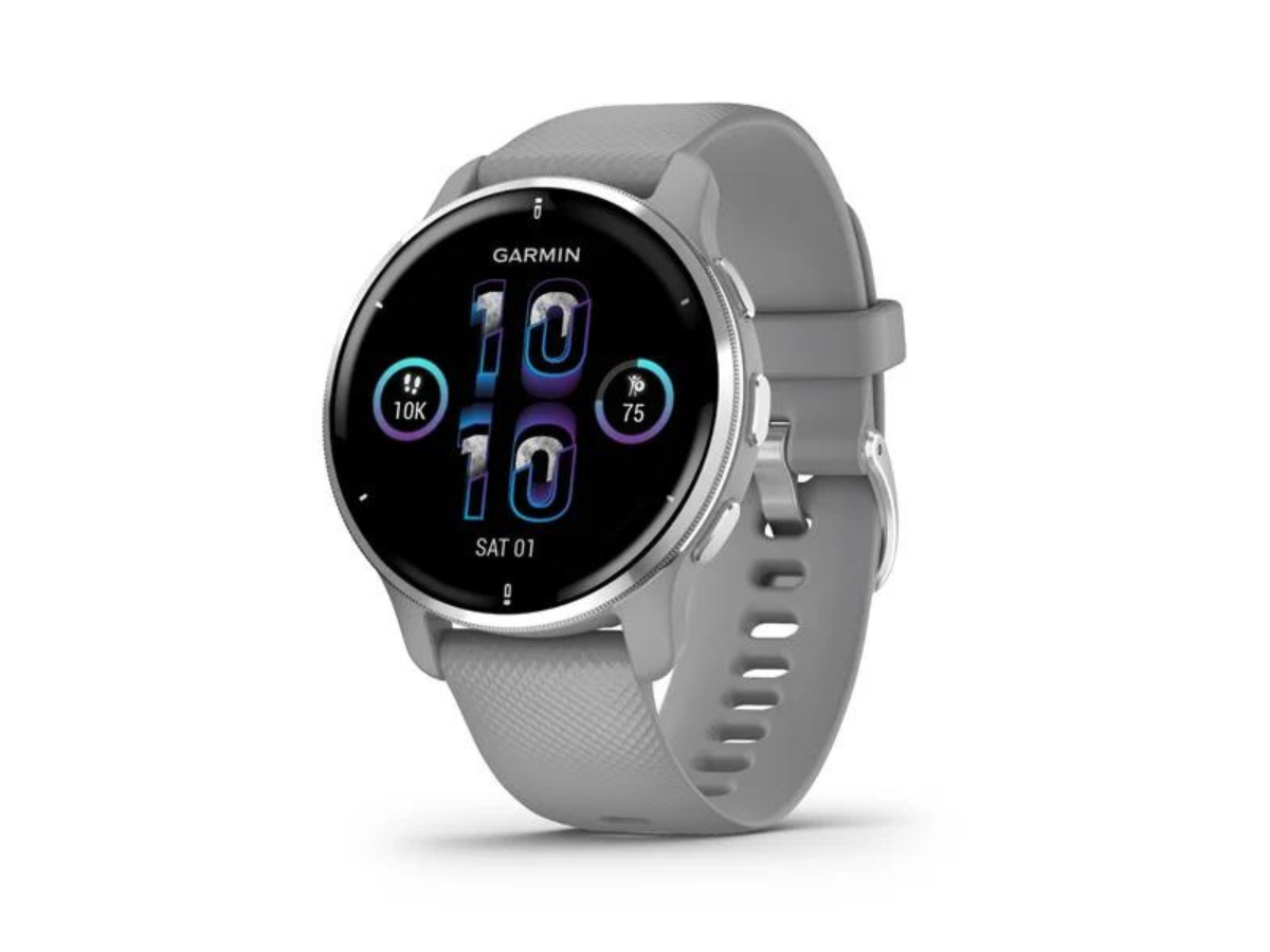 Garmin Venu 2 Plus - Powder Gray with Passivated