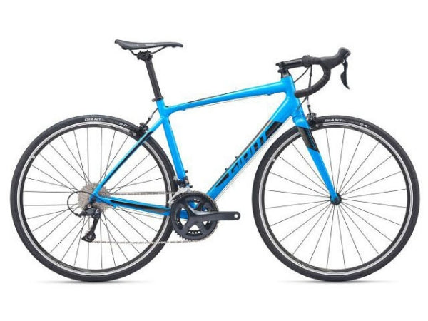 Giant Contend 1