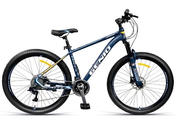 Ninety One Genio 27.5T