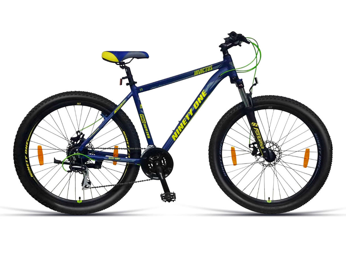 Ninety One Invictus 29T