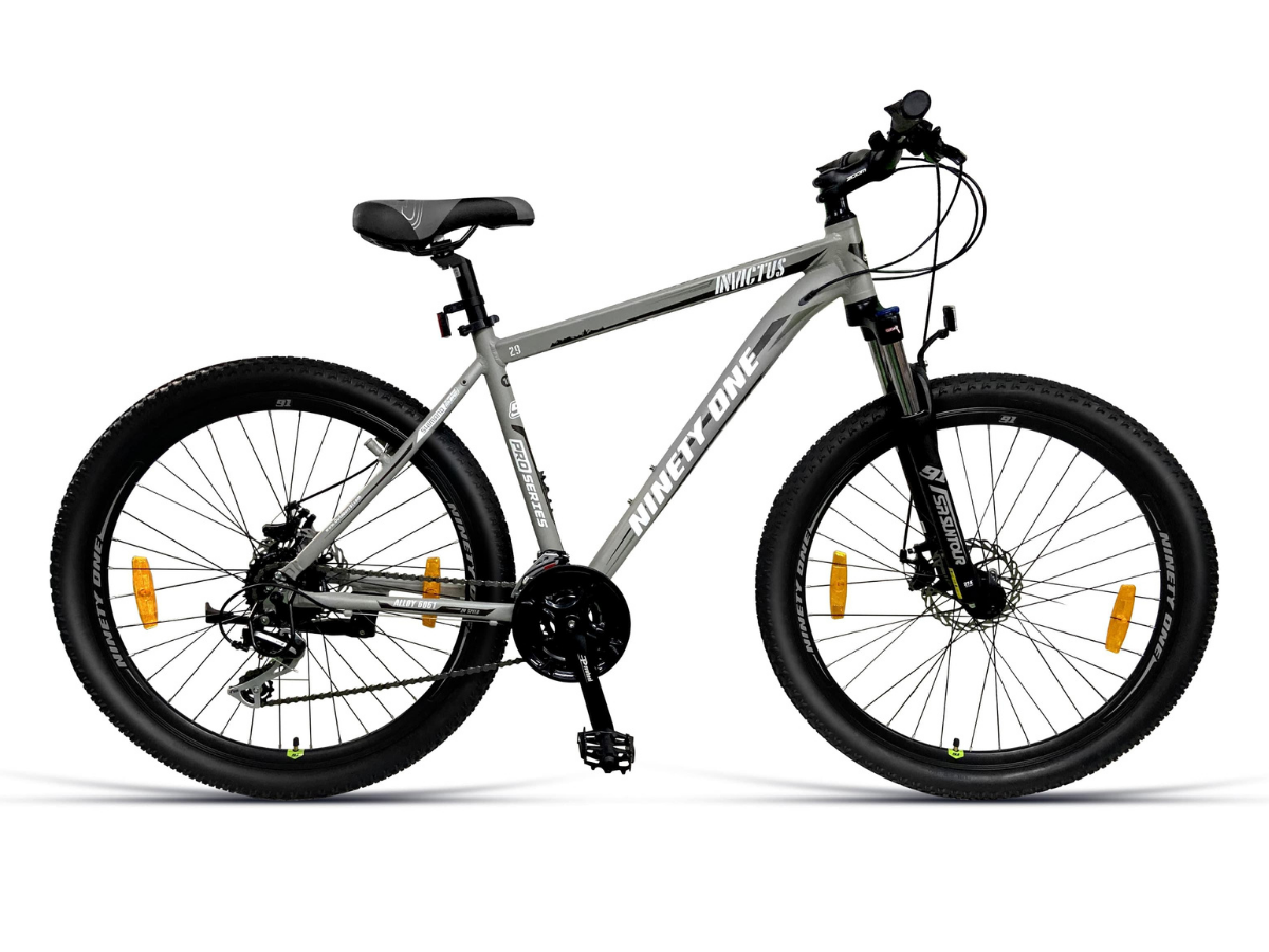 Ninety One Invictus 29T