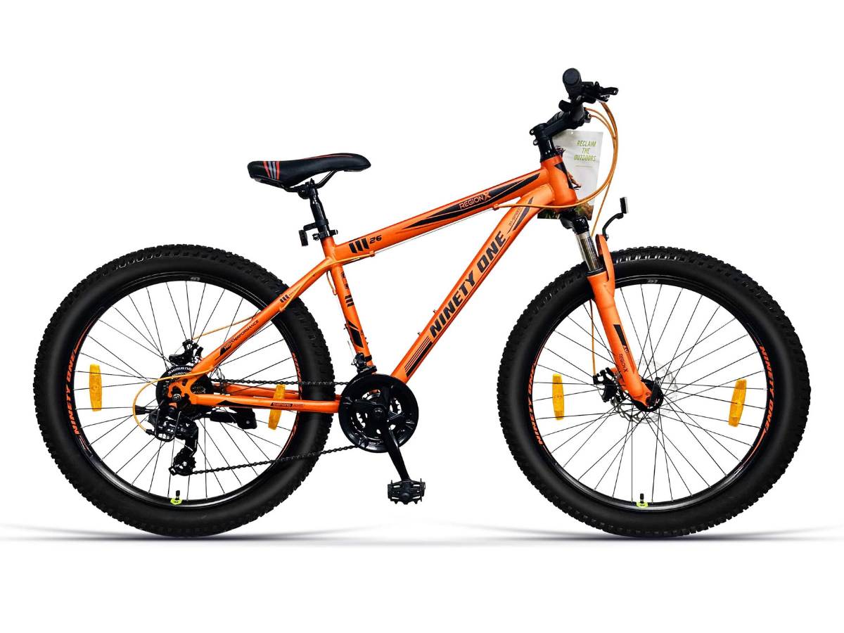 Ninety One RegionX 26T