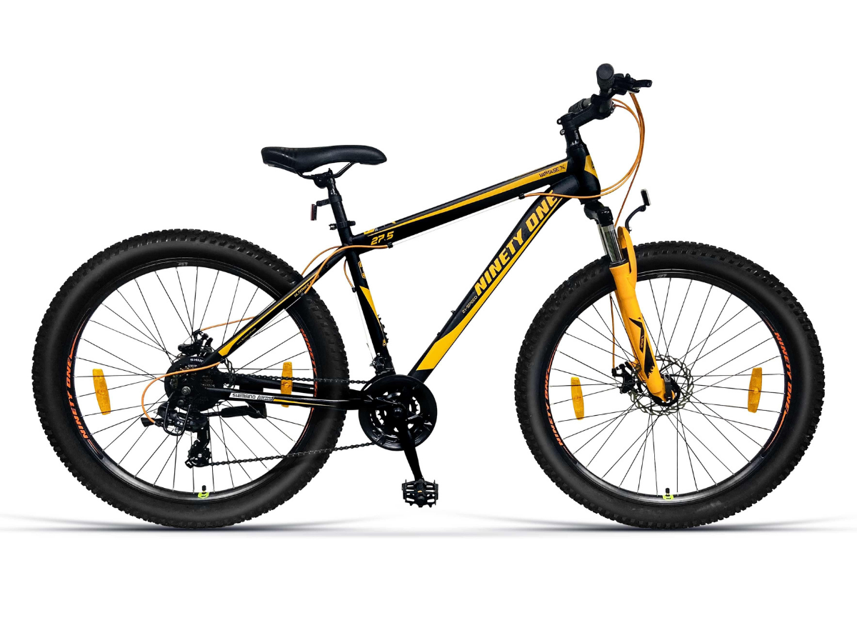 Ninety One VantageX 27.5T